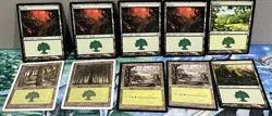 Magic the Gathering Card Forest Shards of Alara Starter 1999 Tempest Time Spiral - Image 1