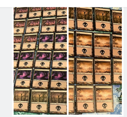 Magic the Gathering MTG 67 piece Card Lot SWAMP Shadowmoor 290 291 292 293 - Image 1