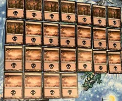Magic the Gathering MTG 67 piece Card Lot SWAMP Shadowmoor 290 291 292 293 - Image 4