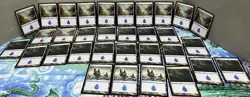 Magic the Gathering MTG Card Lot Land Island Shadowmoor 288 Shards of Alana 237 - Image 1