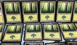 Magic the Gathering MTG Card Lot Forest Ice Age Invasion 347 348 - Image 3