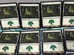 Magic the Gathering MTG Card Lot Forest Shadowmoor 299 300 301 - Image 2