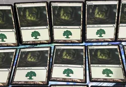 Magic the Gathering MTG Card Lot Forest Shadowmoor 299 300 301 - Image 3