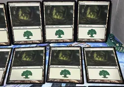 Magic the Gathering MTG Card Lot Forest Shadowmoor 299 300 301 - Image 4