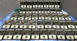 Magic the Gathering MTG Card Lot Forest Shadowmoor 299 300 301 - Image 1