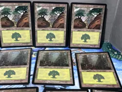 Magic the Gathering MTG Card Lot Forest Invasion 349 350 Mercadian Masques 347 - Image 4