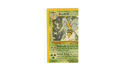 Beedrill Pokemon Card - Base Set Shadowless - 1999 WOTC - Non-Holo Rare #17/102 - Image 3