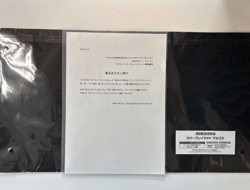 Pokemon N Playmat EX Masters Japan Limited 5000 Japanese 2025 Card collaboration - Image 2