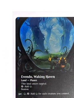 Evendo, Waking Haven M 0279 Borderless FOIL MTG Edge Of Eternities EOE EN NM/M - Image 2