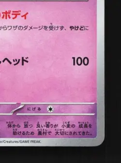 Dachsbun 267/190 NM Shiny Treasure ex Japanese Pokemon Card TCG - Image 3