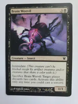 MTG Magic The Gathering Card Brain Weevil Creature Insect Black Innistrad - Image 1