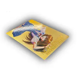EVA Sohryu Asuka Langley SP6 4ST Neon Genesis Evangelion card CARDDASS Masters - Image 3
