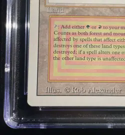 MTG Taiga Revised Edition Rare CGC Graded 6 Ex/NM Magic The Gathering - Image 4