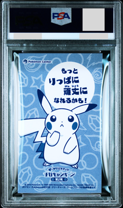 PSA 10 Pokemon Poncho Pikachu Sableye XY Promo Japanese Business Card - Image 2