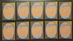 Mtg. Lord Of The Rings: Tales Of Middle Earth. Full Art Map Land Set. Non-foil - Image 2