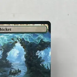 MtG EoC Festering Thicket #41 Extended Art Non-Foil - Image 3