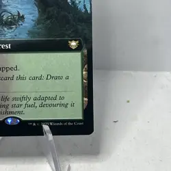 MtG EoC Festering Thicket #41 Extended Art Non-Foil - Image 4