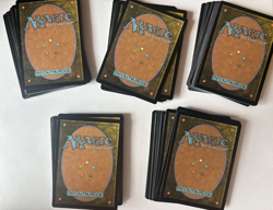 100 Snow-Covered Lands Set MTG Magic Modern Horizons (MH1) English - NM - Image 2
