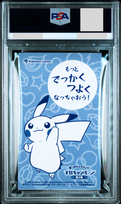 PSA 10 Pokemon Poncho Pikachu Charizard X XY Promo Japanese Business Card - Image 2