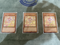 Yugioh Mulcharmy Meowls Playset (3 Cards) Secret Rare From Supreme Darkness - Image 1