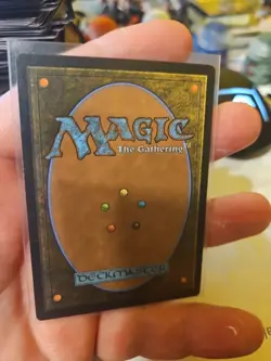 MTG Exalted Sunborn - 15 / English / Near Mint - Image 2