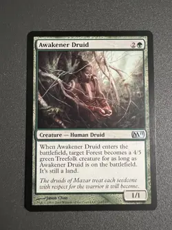 MTG - Awakener Druid - M11 - #163 - LP - Green - Regular - Image 1