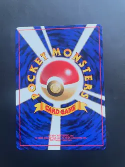 Transparent Walls - Japanese Gym Challenge - Trainer Regular Pokemon - Image 2