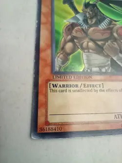Yugioh Elemental Hero Wildheart Limited Edition GSE-EN001 Secret Rare LP - Image 4