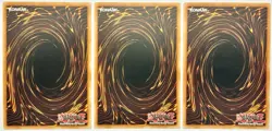 3 x LEDE-EN025 Wightlord - Common 1st Edition Near Mint YuGiOh Cards - Image 2