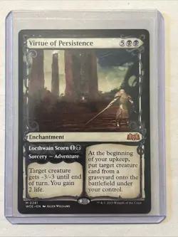 MTG Magic the Gathering Card LP - Virtue Of Pestilence - Image 1