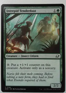 Intrepid Tenderfoot *PLAYSET* Magic MtG x4 Edge of Eternities - Image 1