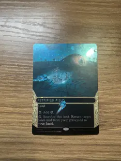 Petrified Field - GALAXY FOIL - MTG - Edge Of Eternities: Stellar Sights - 122 - Image 1