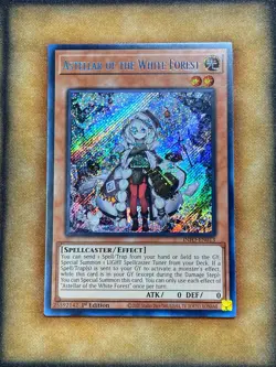 Yugioh Astellar of the White Forest INFO-EN013 Secret Rare 1st Ed NM - Image 1