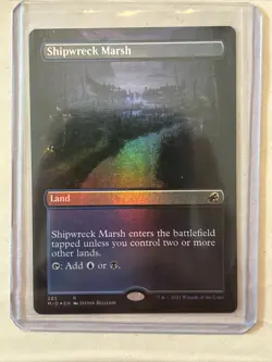 MTG Magic the Gathering Card LP - Shipwreck Marsh Borderless Foil Innistrad - Image 1
