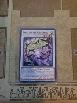 YUGIOH POPLAR OF THE WHITE FOREST ALIN-EN041 SUPER 1ST ED NM - Image 1