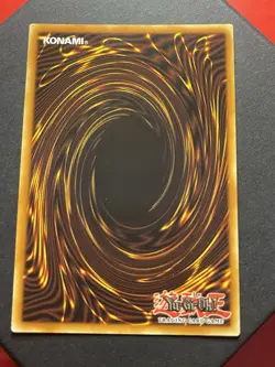 Blue-Eyes Toon Dragon | SRL-EN000 | Secret Rare | 25th Anniversary | NM | YuGiOh - Image 5