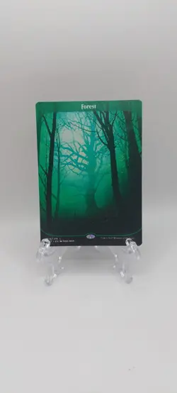 MTG - Full Art Forest #216 - Unstable - Image 1