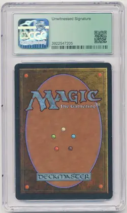 Graded Signed Reverberation CGC 8 Legends Art Justin Hampton MTG Reserved List! - Image 2
