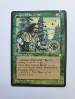 MTG Magic The Gathering Card Juniper Order Druid Summon Cleric Green Ice Age - Image 1