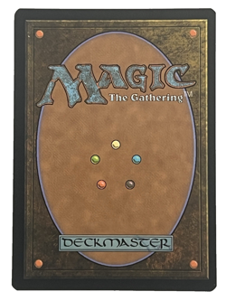 MTG English Polluted Delta (Borderless) NM Foil Modern Horizons 3 - Image 2