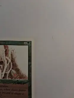 Magic MTG Italian Revised Wall of Brambles Autograph - Image 2