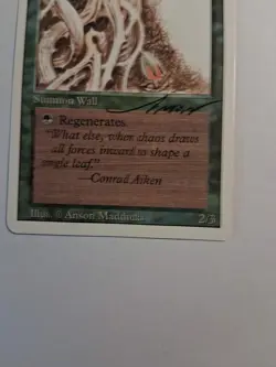 Magic MTG Italian Revised Wall of Brambles Autograph - Image 3
