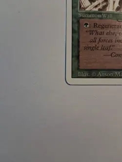 Magic MTG Italian Revised Wall of Brambles Autograph - Image 4