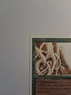Magic MTG Italian Revised Wall of Brambles Autograph - Image 5