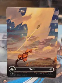 L 0262 Plains BORDERLESS Full Art Land Edge of Eternities EOE MTG Card - Image 1