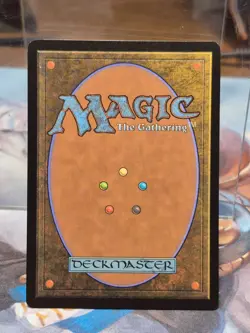 L 0264 Swamp BORDERLESS Full Art Land Edge of Eternities EOE MTG Card - Image 2