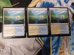 Flooded Strand CHINESE MTG Khans of Tarkir Rare Land 2x chi 1x eng Near-Mint x3 - Image 1