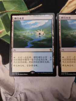 Flooded Strand CHINESE MTG Khans of Tarkir Rare Land 2x chi 1x eng Near-Mint x3 - Image 2