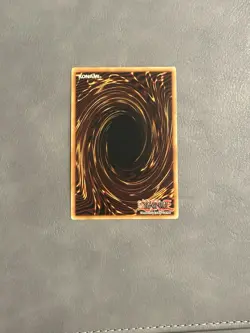 Ancient Forest - ANPR-EN048 - Super Rare - Unlimited Edition - YuGiOh - Image 2