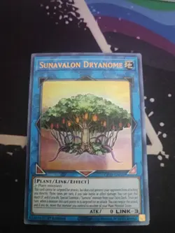 Yugioh! Sunavalon Dryanome - GFTP-EN020 - Ultra Rare - 1st Edition Near Mint, En - Image 1